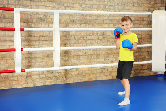 Adorable little boy in boxing gloves on ring