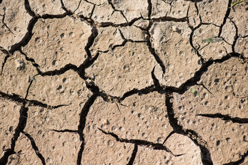 Crack soil on dry season, Global worming effect.