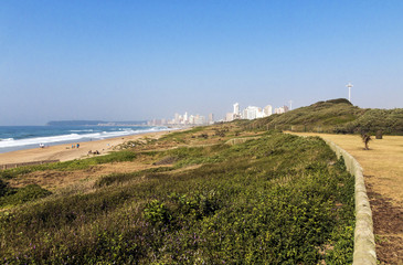 Fototapeta na wymiar Dune Vegetation Coastal Landscape in Durban South Africa