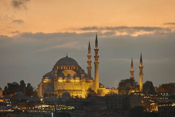 Fototapeta premium The Blue Mosque in the night