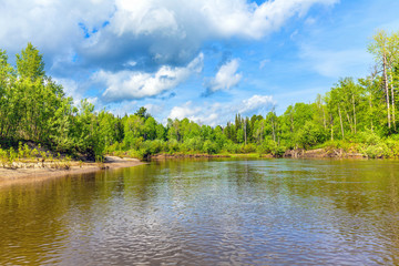 Naklejka na ściany i meble Beautiful summer landscape with Siberian nature. River Chet in the Tomsk region.