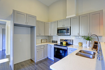 Light grey kitchen room interior with vaulted ceiling