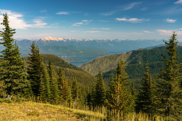 Summer on Columbia Mountain