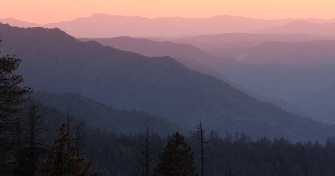 Trees and mist in the green forest of Stanislaus National Forest in the Sierra Nevada Mountains from Yosemite National Park