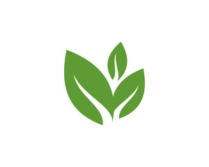 leaf logo