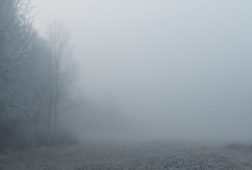 Fog in Swedish winter landscape