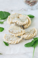 Fried savory pasties - hand pies with spinach on a white background. Top view and copy space.