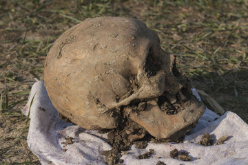 Skull of a Nogai woman.The ancient remains of the girl. Millennial bones of a girl. Female skull.