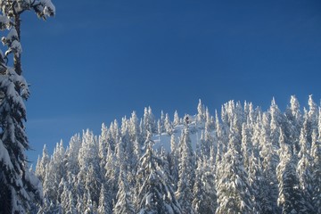 cabin on the mountain snow