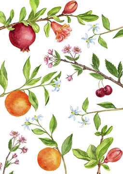 template with fruit tree branches, leaves, flowers and berries