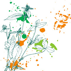 Background with drawing herbs and flowers