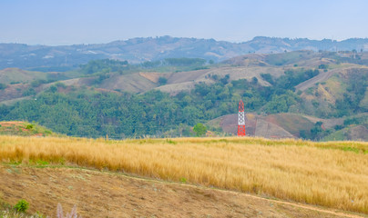 Hills and mountains are alternating layers. Landscape view