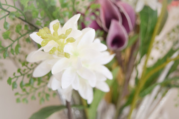 Close up of white flower