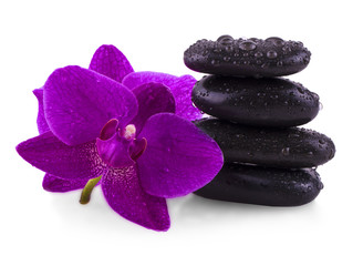 stones and orchid on the white background.