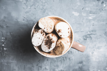 Hot chocolate with marshmallows, cinnamon and anise. Selective focus.