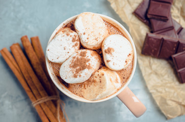 Hot chocolate with marshmallows, cinnamon and anise. Selective focus.