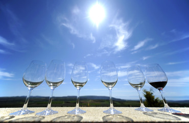 Six vine glasses agains sun