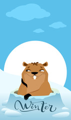 Obraz na płótnie Canvas Groundhog Day. Marmot makes forecast winter