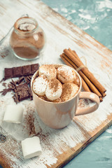 Hot chocolate with marshmallows, cinnamon and anise. Selective focus.