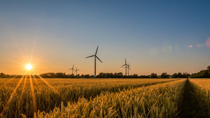 Feld Nordfriesland Schleswig Holstein Windrad