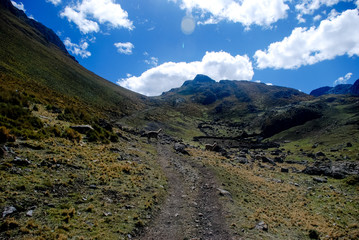 Sheep in Huayhuash