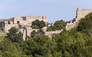 Fototapeta na wymiar Vista parcial del castillo de Sagunto. Valencia. España