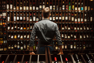 Bartender at wine cellar full of bottles with exquisite drinks