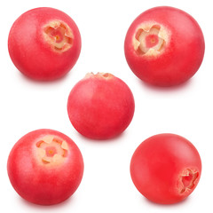 Cowberry set isolated on a white.