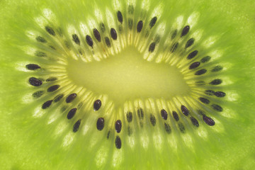  cut kiwi fruit