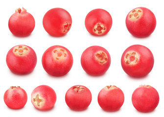Cowberry set isolated on a white.