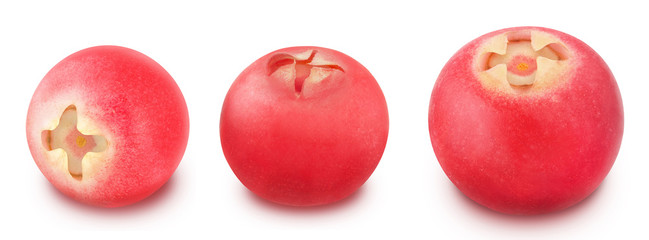 Cowberry set isolated on a white.