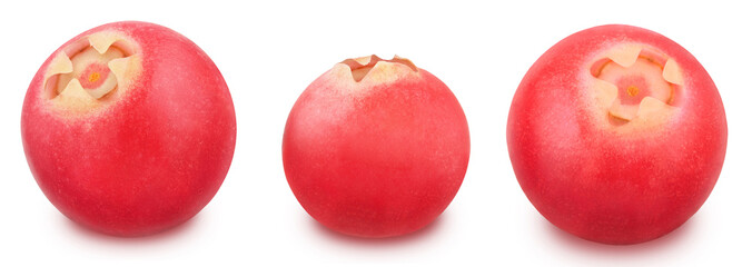 Cowberry set isolated on a white.