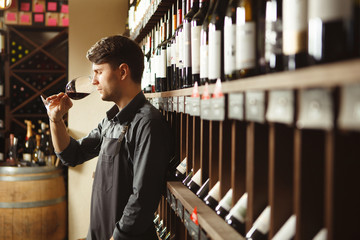 Bartender stands in cellar and smells wine in glass