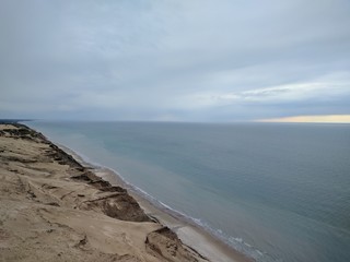 Costal Dune