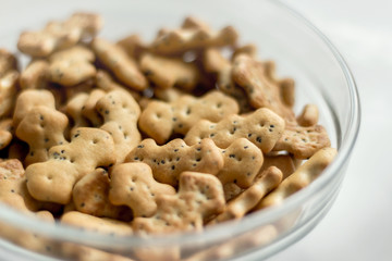 lying in a plate a small biscuit with poppy seeds, can serve as a background_