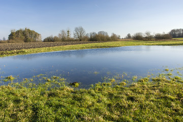 Water in the meadow, field and trees without leaves