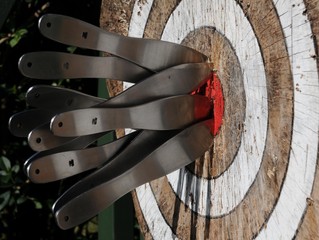 Throwing Knives in Target