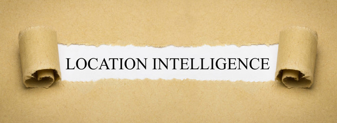 Location Intelligence