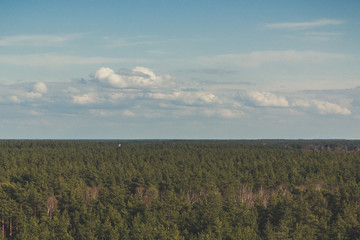 wood and sky horizon line in sunny day