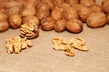Walnut on the background of sack cloth