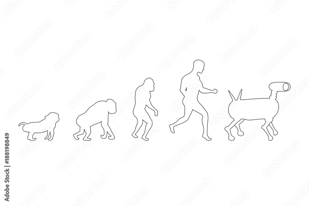 Wall mural illustration of human evolution process. 5 stages. darwin's theory. vector silhouettes.