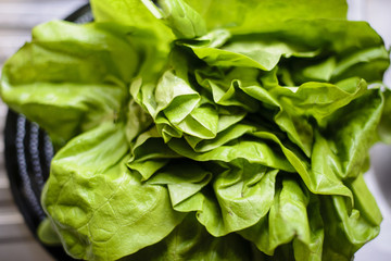 lettuce close up view