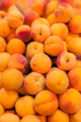 Organic Ripe apricots fruit  in the market.  Apricots harvest.  Food background.