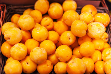 Yellow organic plums in the market.  Whole fresh plums harvest.  Food background
