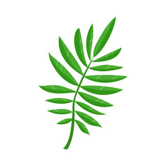Vector flat summer symbol - tropical green fern leaf icon. Isolated floral illustration on a white background for advertising, poster design.