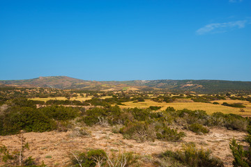 Fototapeta na wymiar Green hills of Cyprus