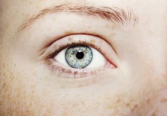 A beautiful insightful look woman's eye. Close up shot.