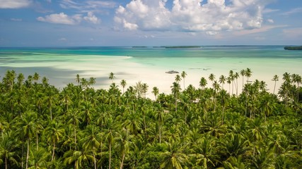 Aerial shot of deserted tropical beach