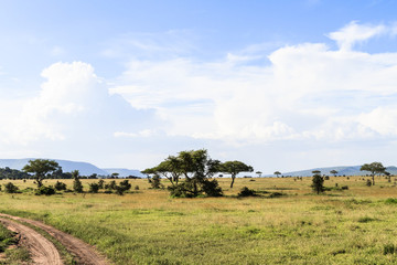 Cloudy landscape in the Serengeti. Tanzania, Africa