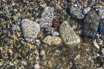 sea pebble beach with multicoloured stones, waves with foam